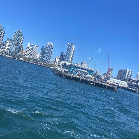 Meet your Posher, Camryn - Picture 1 of 1